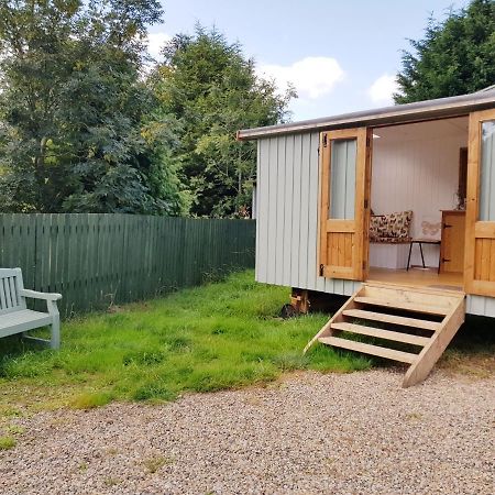 The Llama Hut Kirklevington 外观 照片